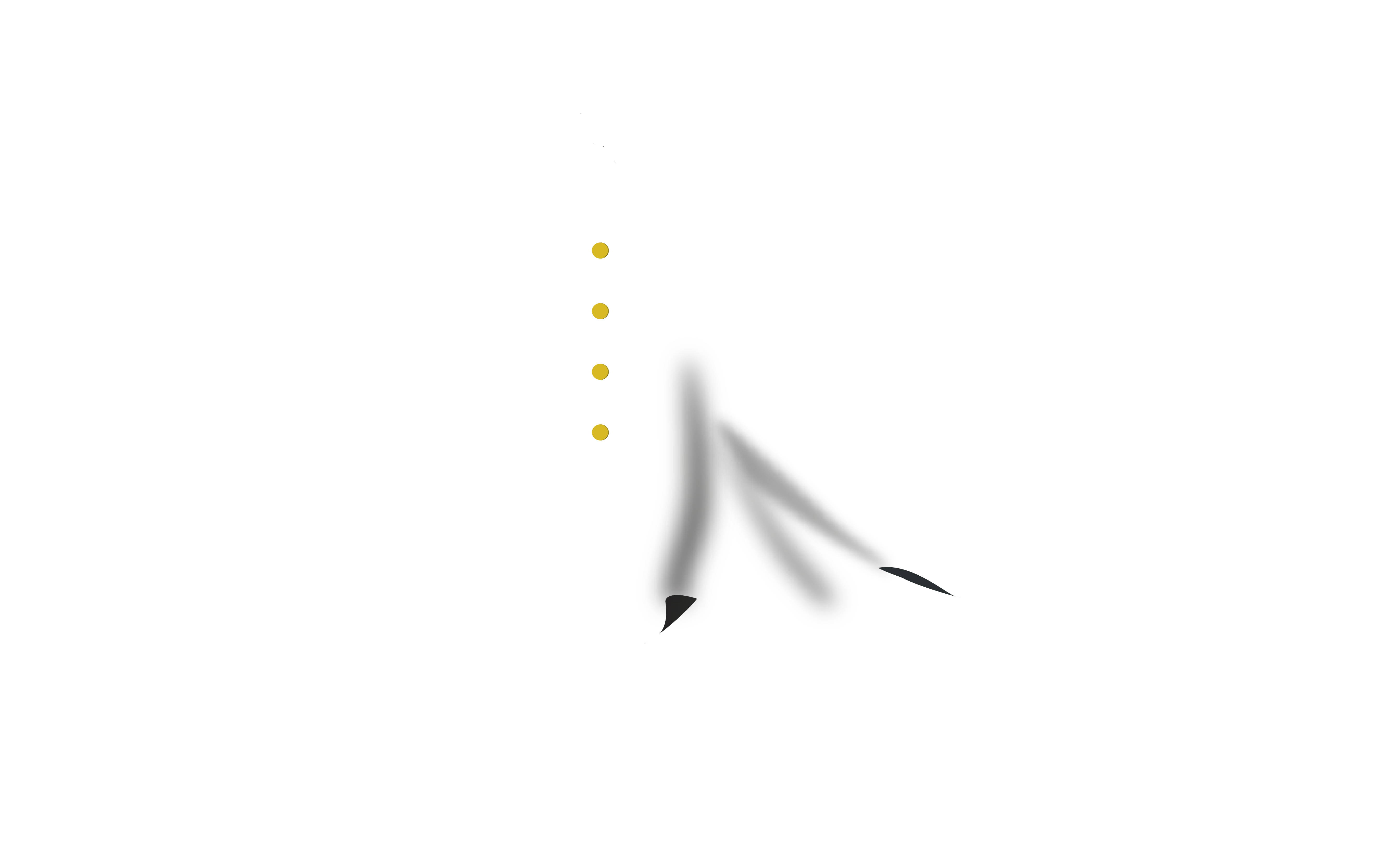 Kaba Digital Print